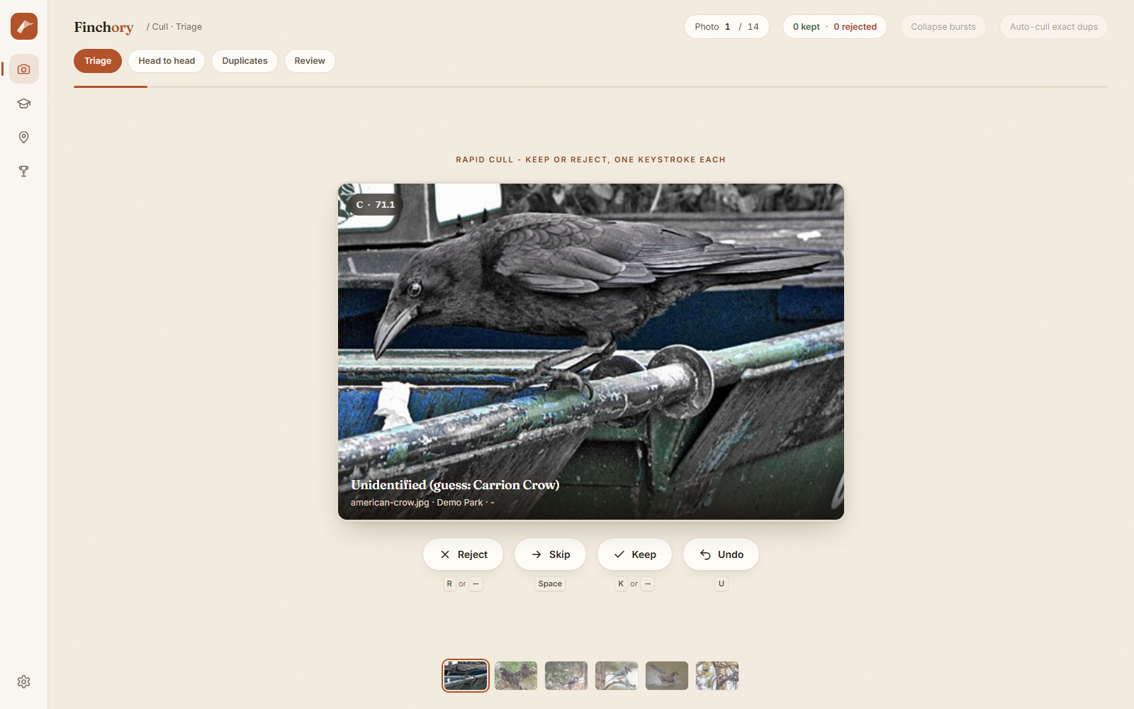The Cull view: one frame shown large for a keep, skip, or reject decision, with a filmstrip of the burst below