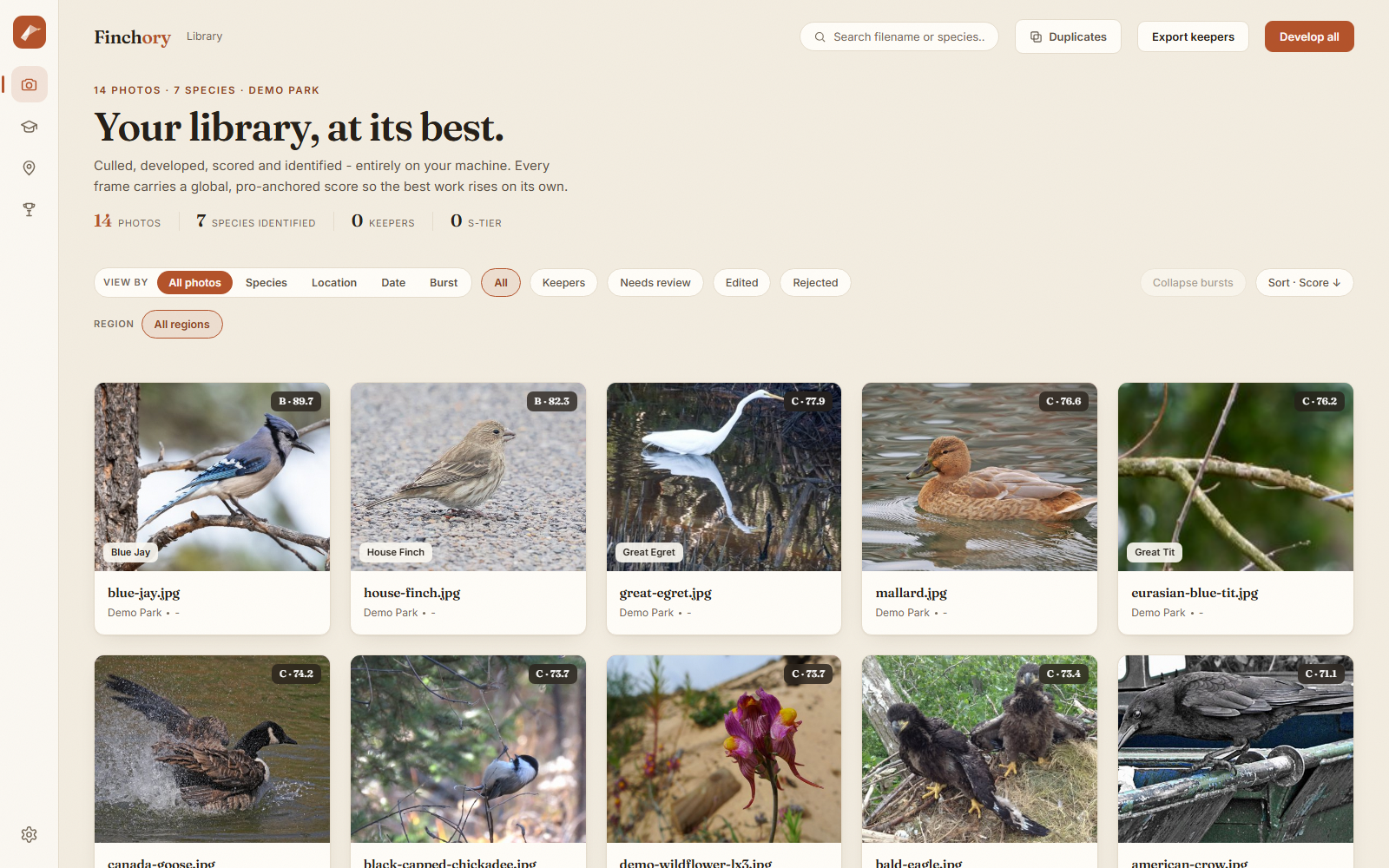 The Library grid: a wall of developed bird photos, each tagged with its species and a quality score