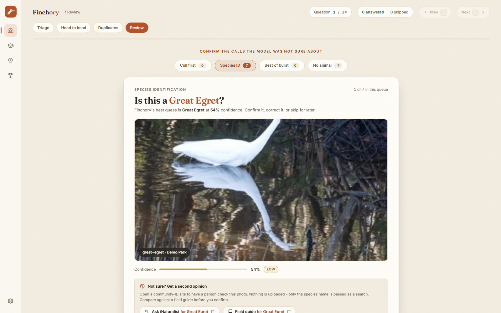 The Review view asking 'Is this a Great Egret?' with a confidence reading and a second-opinion option